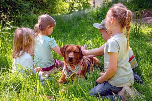 Kinder streicheln Hund